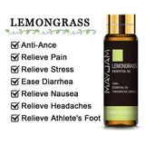 10ML Pure Essential Oil – Lavender, Eucalyptus, Rose & More