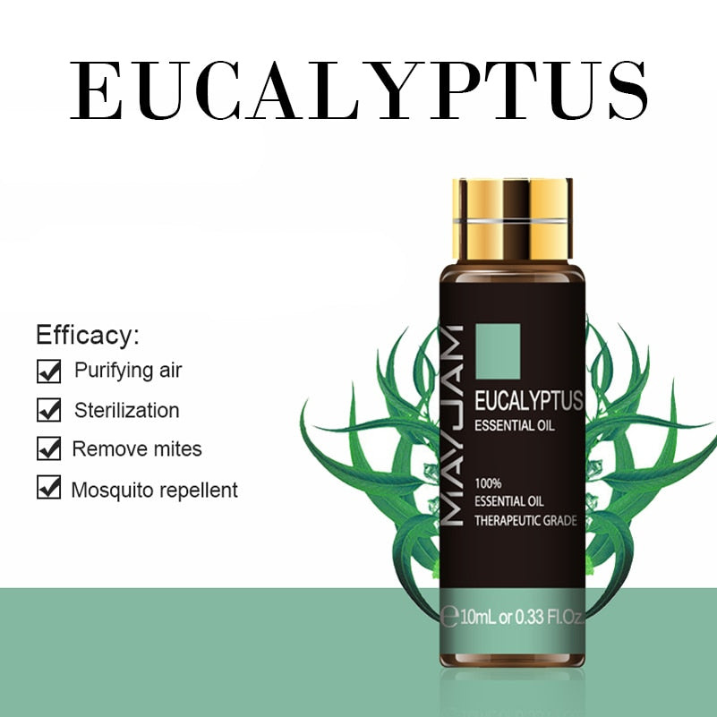 Maxim Eucalyptus essential oil bottle with green leaves on a white background