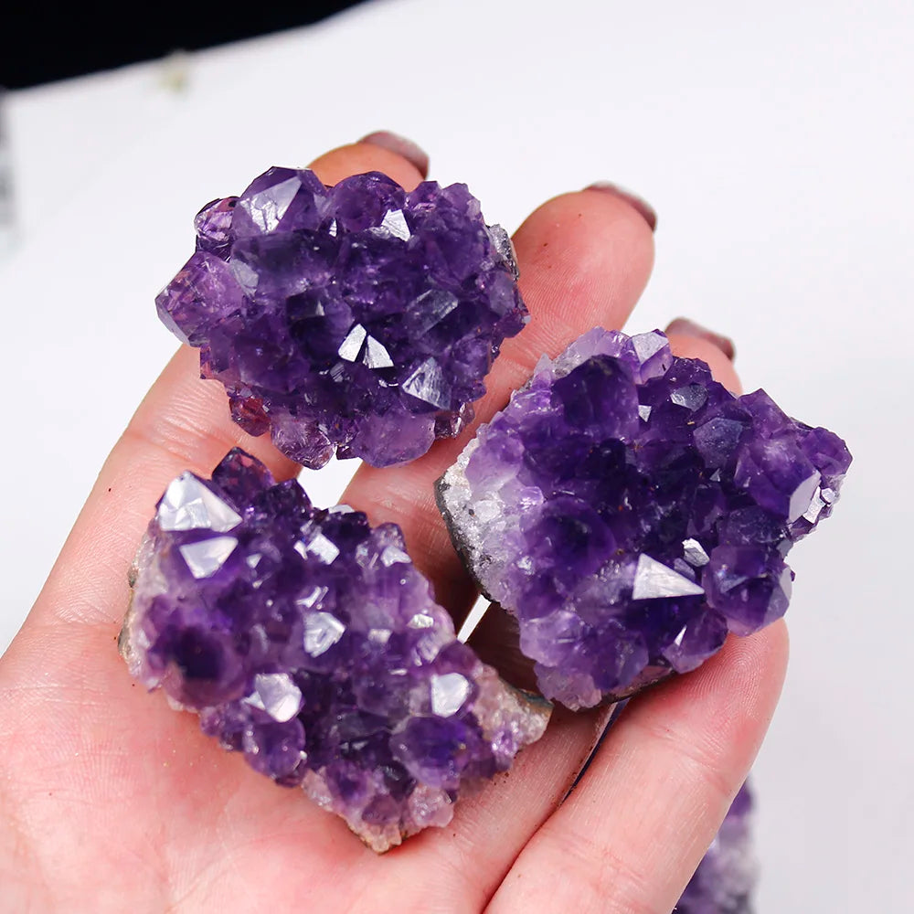 Hand holding three purple crystal clusters against a white background
