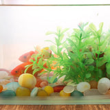 Fish tank with colorful fish and green plants on a wooden floor