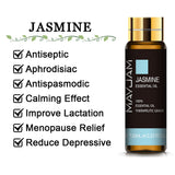 10ML Pure Essential Oil – Lavender, Eucalyptus, Rose & More