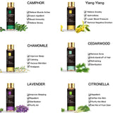 Collection of Maylan essential oil bottles with their respective benefits on a white background