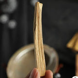 Hand holding a long, thin piece of wood against a blurred background