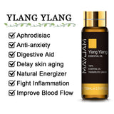 10ML Pure Essential Oil – Lavender, Eucalyptus, Rose & More