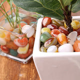 Decorative planter with multicolored stones and a small plant on a wooden surface