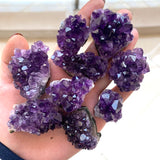 Hand holding purple amethyst crystals against a neutral background