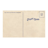 The Pamela Colman Smith Commemorative Set