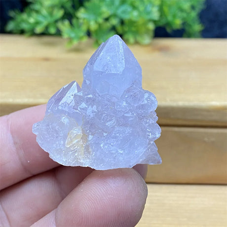 Clear crystal held in a hand with a wooden surface and greenery in the background