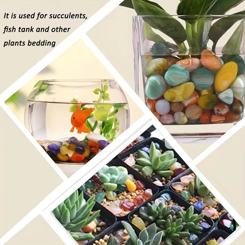 Collage of images showing colorful stones used for succulents and fish tanks.