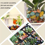 Collage of images showing colorful stones used for succulents and fish tanks.