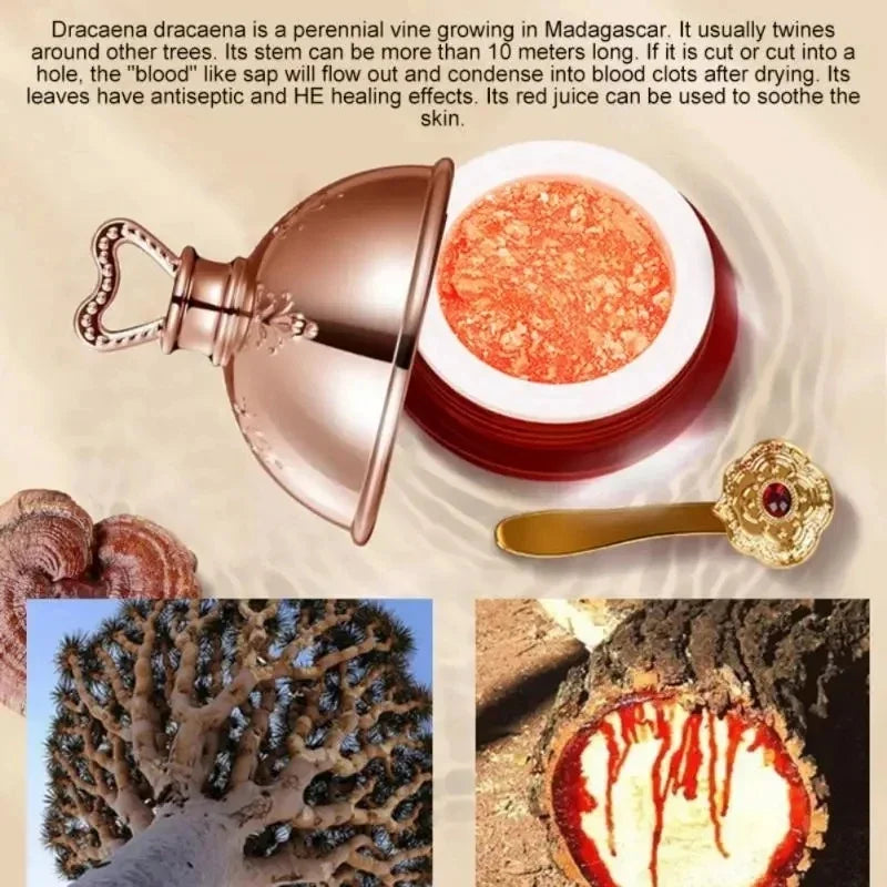 Dracaena draco plant with a container of red sap, spoon, and close-up of sap flow.