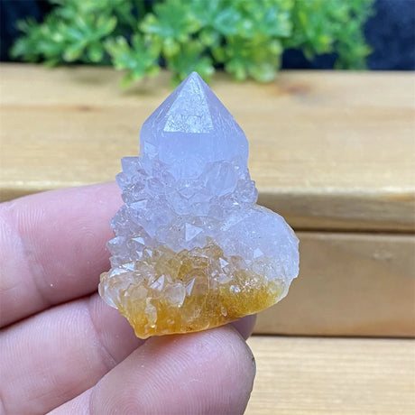 Crystal rock held in a hand with a blurred green plant background