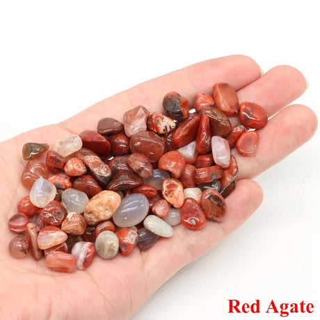 Hand holding red agate stones with 'Red Agate' text on a white background