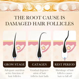 Diagram showing the stages of hair growth and damage with text about damaged hair follicles.