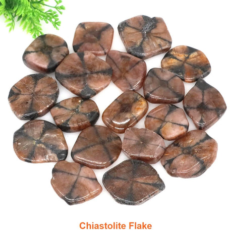 Collection of chiastolite flake stones on a white background with greenery.
