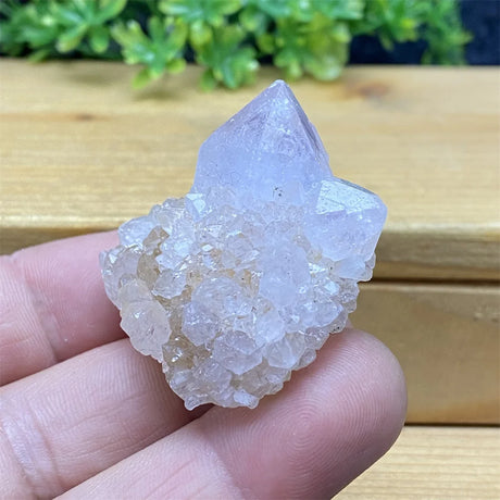Crystal rock held in a hand with a wooden surface and greenery in the background