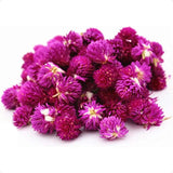 Purple flowers on a white background