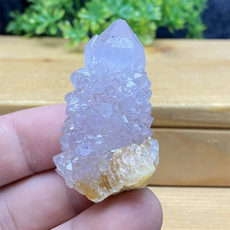 Crystal held in a hand with a wooden surface and greenery in the background