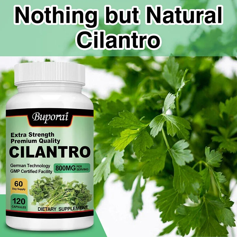 Buporai Cilantro supplement bottle with cilantro leaves in the background