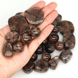 Hand holding a collection of brown stones with a white background