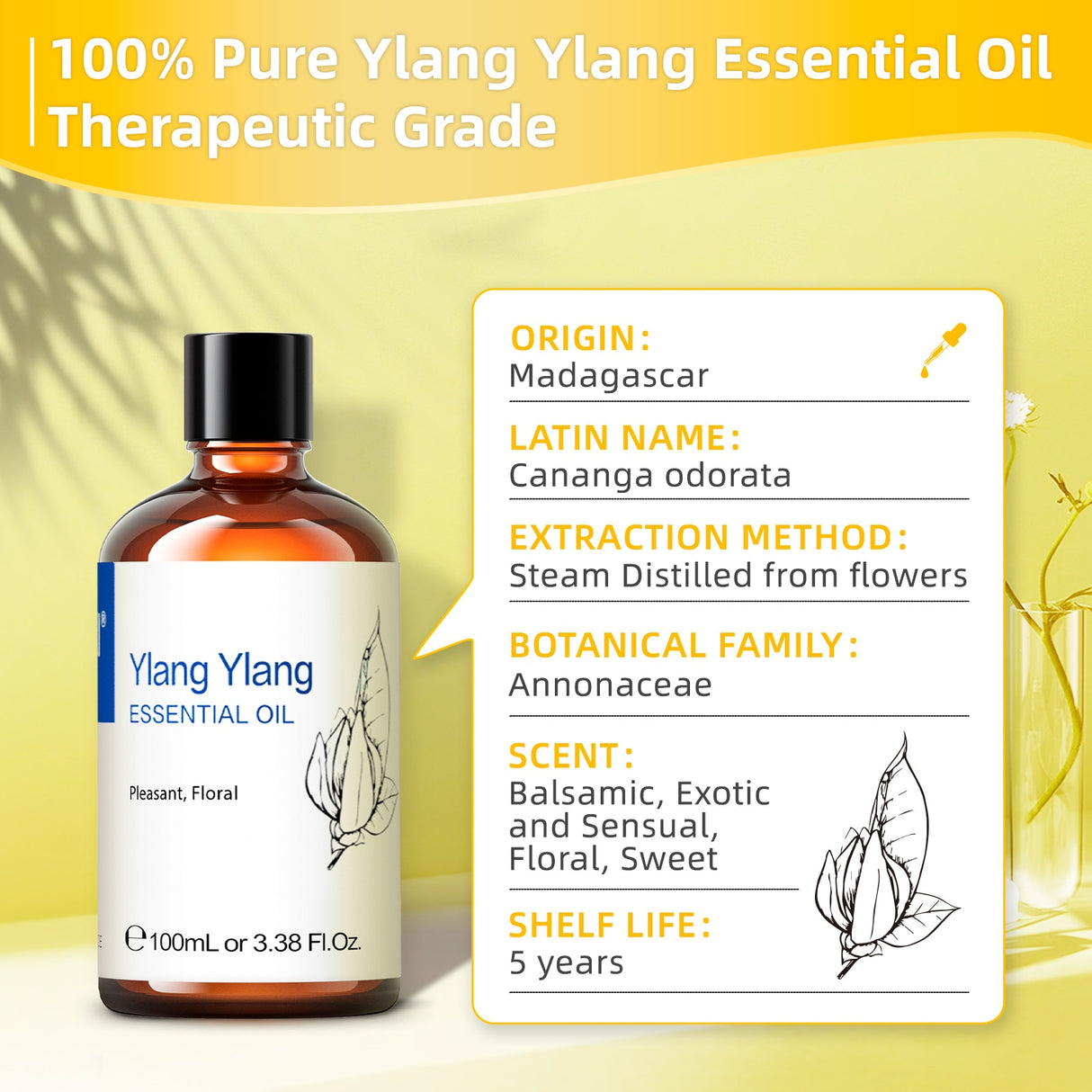 Ylang Ylang essential oil bottle with product details on a yellow background