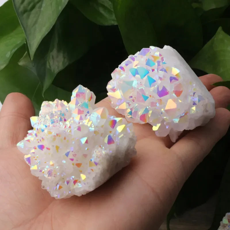 Iridescent crystal-like objects held in a hand with a green leafy background