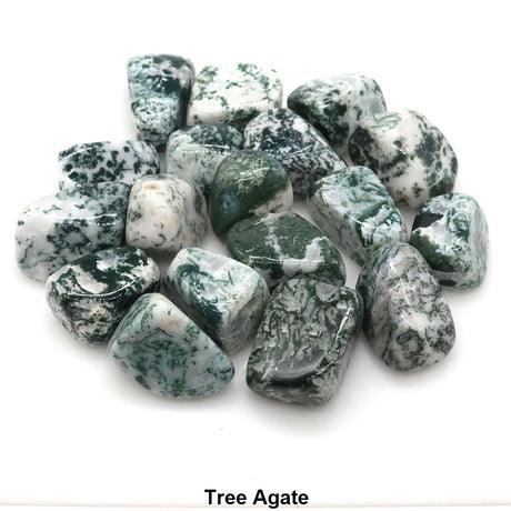 Tumbled tree agate stones on a white background