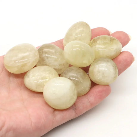 Hand holding a collection of light-colored stones against a white background