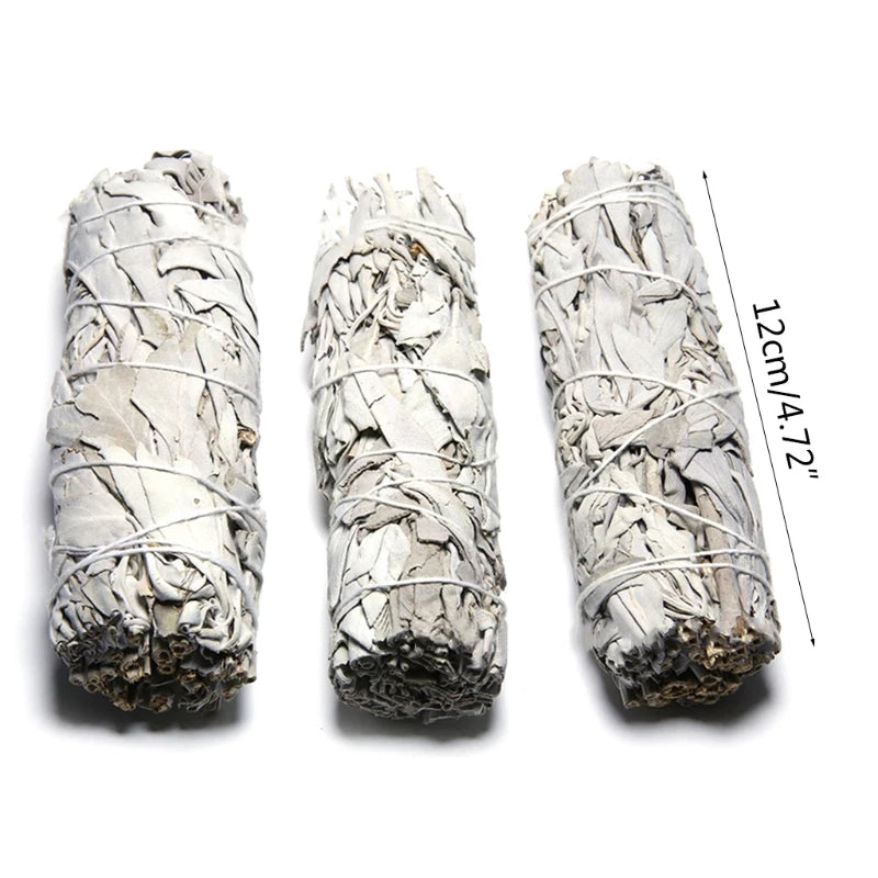 Three white sage smudge sticks with measurement label on a white background