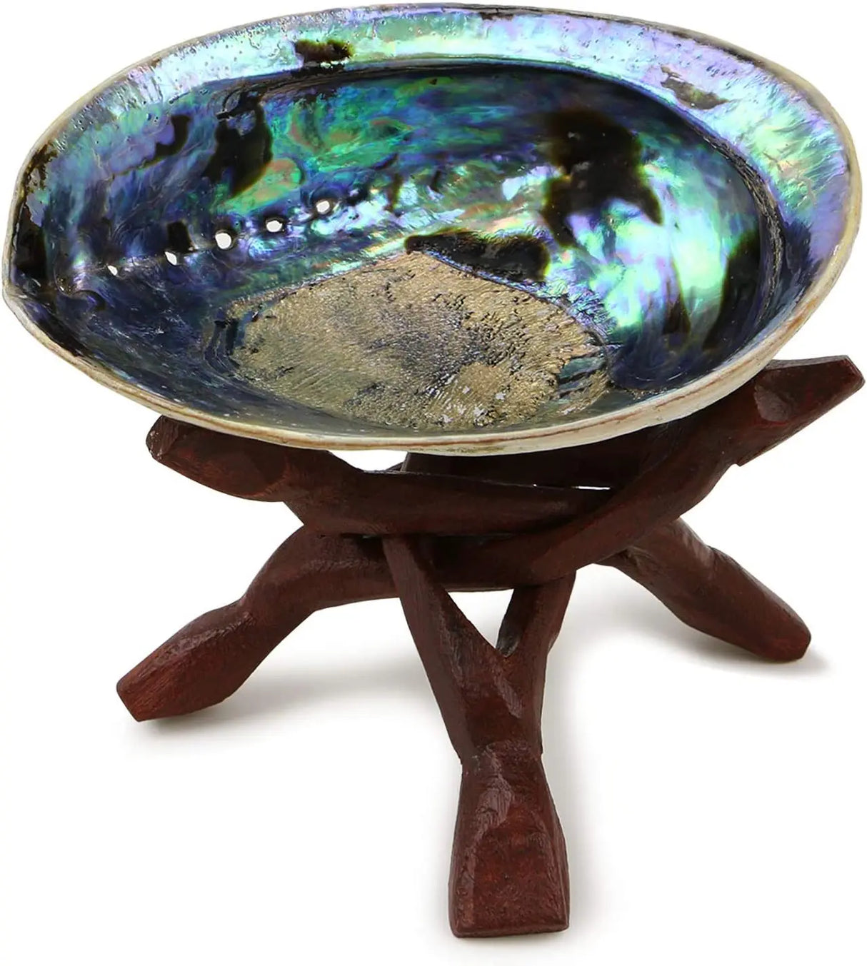 Shell dish on a wooden stand with a white background