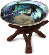 Shell dish on a wooden stand with a white background