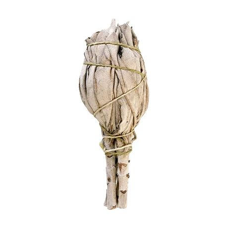 Bundled sage sticks tied with twine on a white background