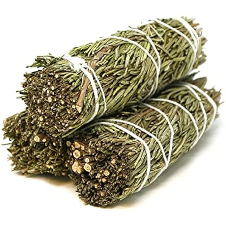 Two bundles of sage tied together with white string on a white background