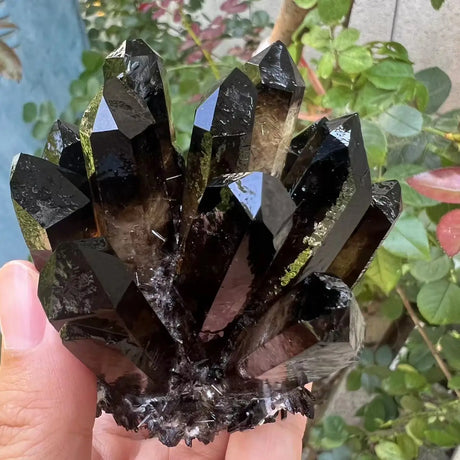 Black crystal cluster held by a hand with a blurred green plant background