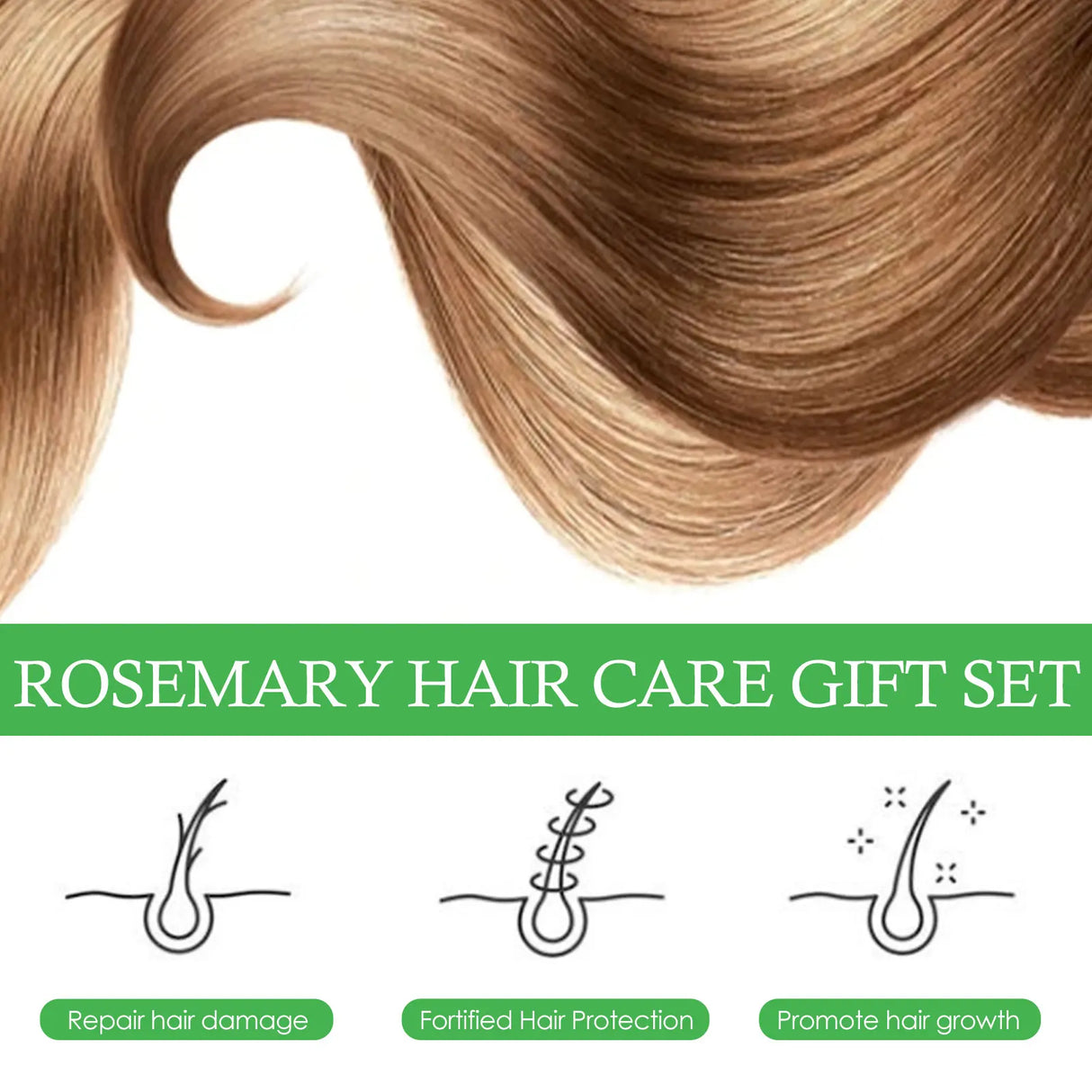Rosemary hair care gift set with illustrations of hair care benefits on a white background.