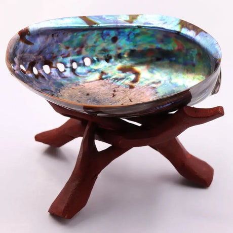 Multicolored shell dish on a wooden stand against a white background