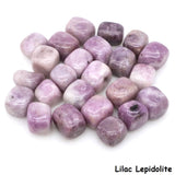 Purple tumbled stones on a white background with 'Lilac Lepidolite' text.