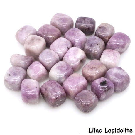 Purple tumbled stones on a white background with 'Lilac Lepidolite' text.