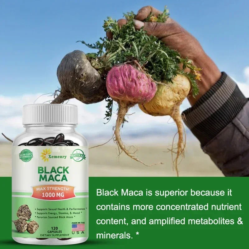 Black Maca supplement bottle with a hand holding a root against a natural background