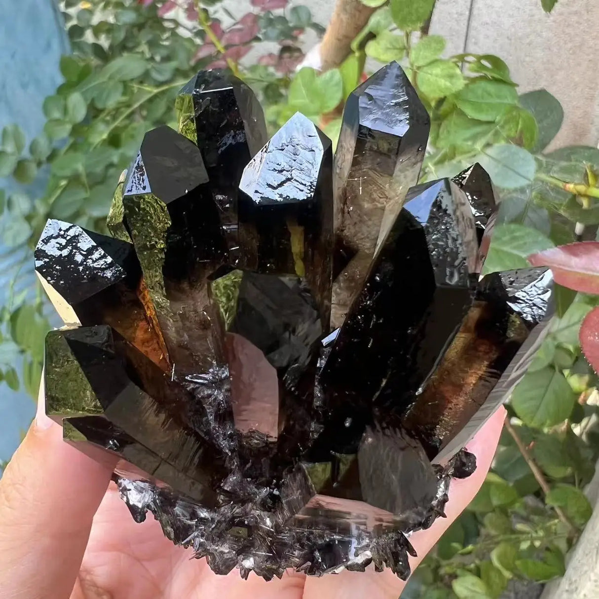 Black crystal cluster held in hand with green foliage in the background