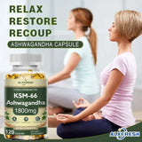 Bottle of ALXFRESH Ashwagandha capsules with two people meditating in the background.