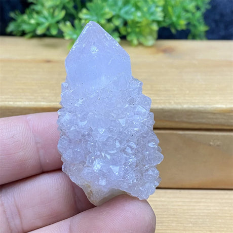 Clear crystal rock held in a hand with a wooden surface and greenery in the background