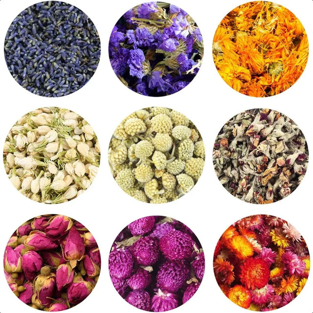 Nine circular images of various dried flowers and herbs on a white background