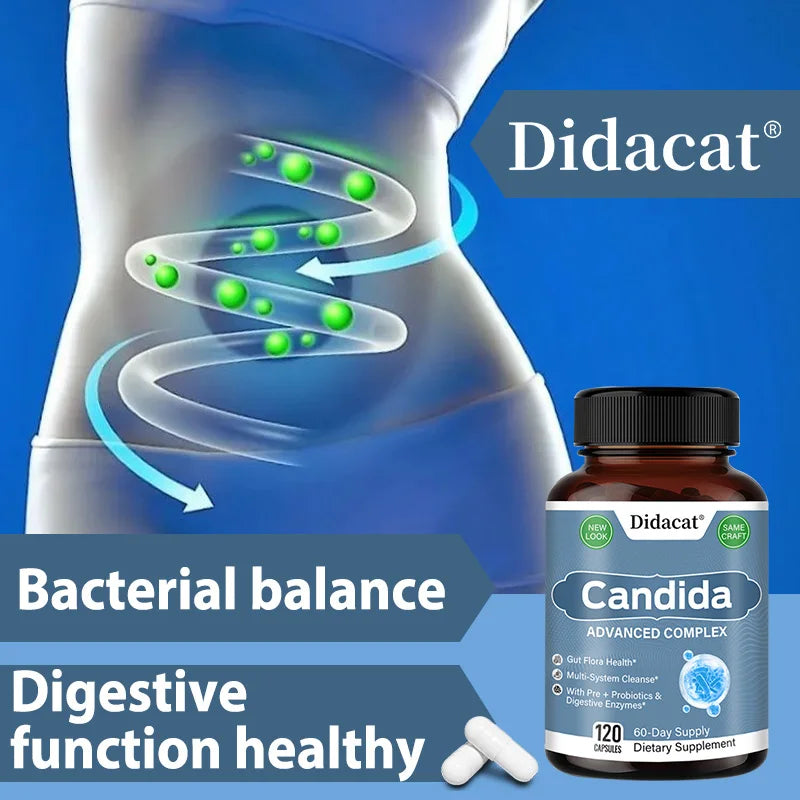 Didacat Candida supplement bottle with a diagram of bacterial balance in the gut on a blue background