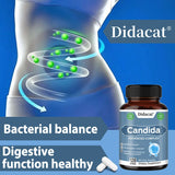 Didacat Candida supplement bottle with a diagram of bacterial balance in the gut on a blue background