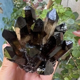 Smoky crystal cluster held in hand with green plants in the background