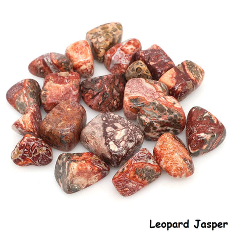 Leopard Jasper stones on a white background