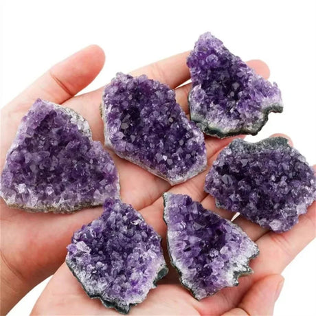Hand holding purple crystal rock specimens on a white background