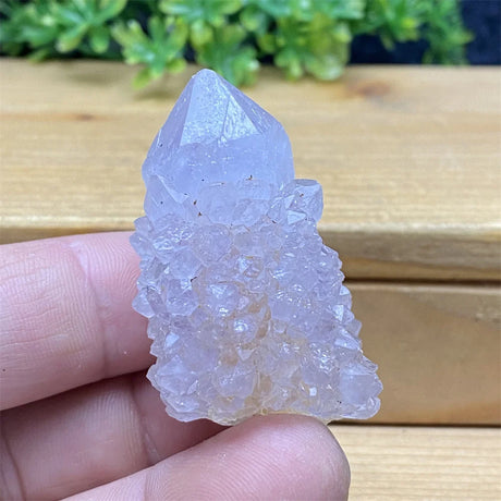 Clear crystal rock held in a hand with a wooden surface and greenery in the background