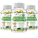 Three bottles of Xemeny Extra Strength Astragalus dietary supplements on a white background